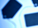 Our Portfolio